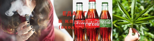 тгк Каменка