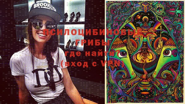 тгк Каменка